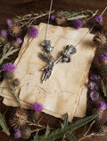 Thistle Divination Silver 925